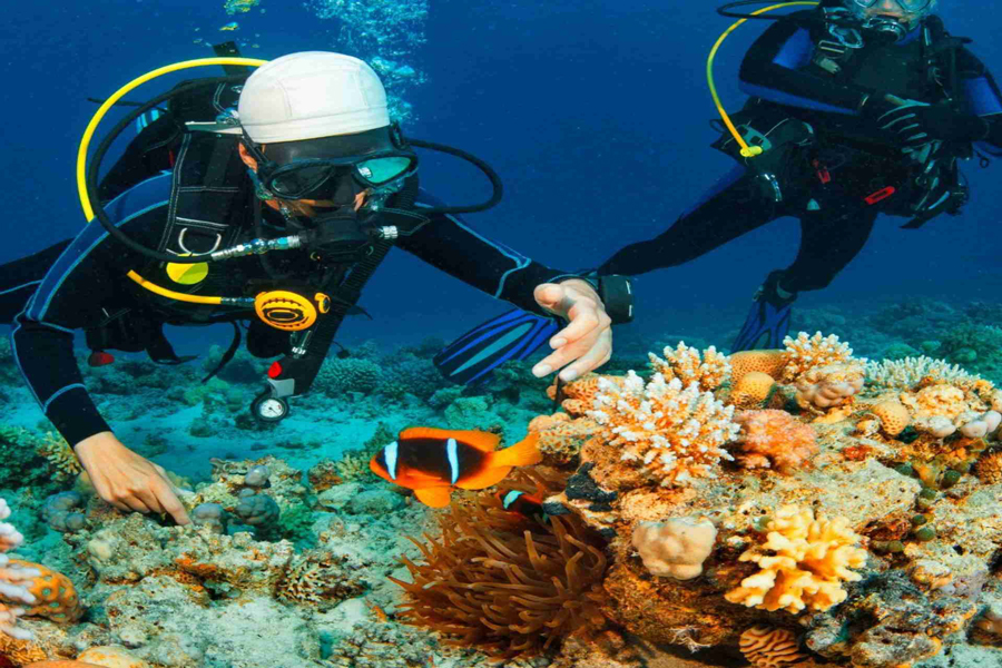 Immersioni alle barriere coralline