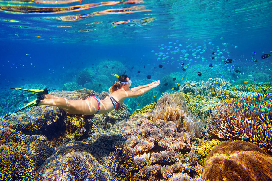 snorkeling all'isola di Koh Rok