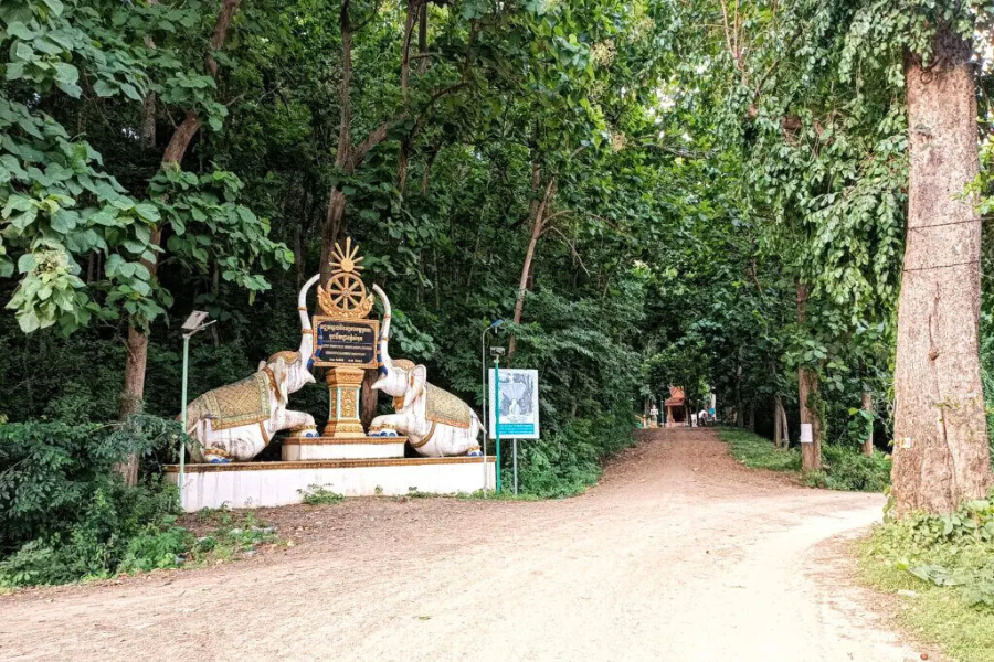 Kratie in 48 Ore: Visita al Fiume Mekong e Cultura Locale