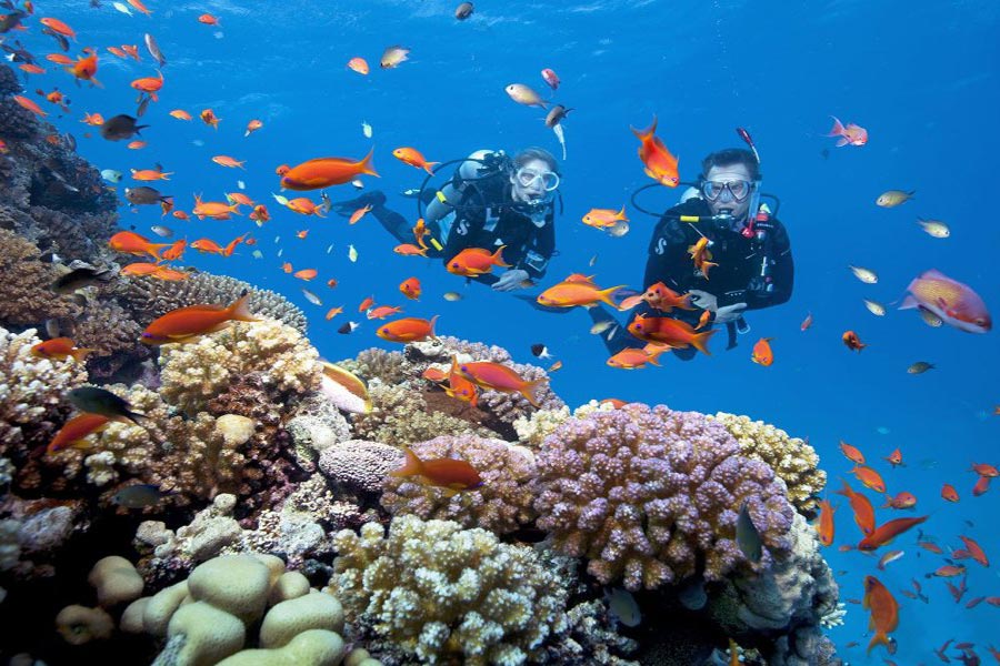 Punti salienti dell'esperienza di immersione subacquea a Hoi An