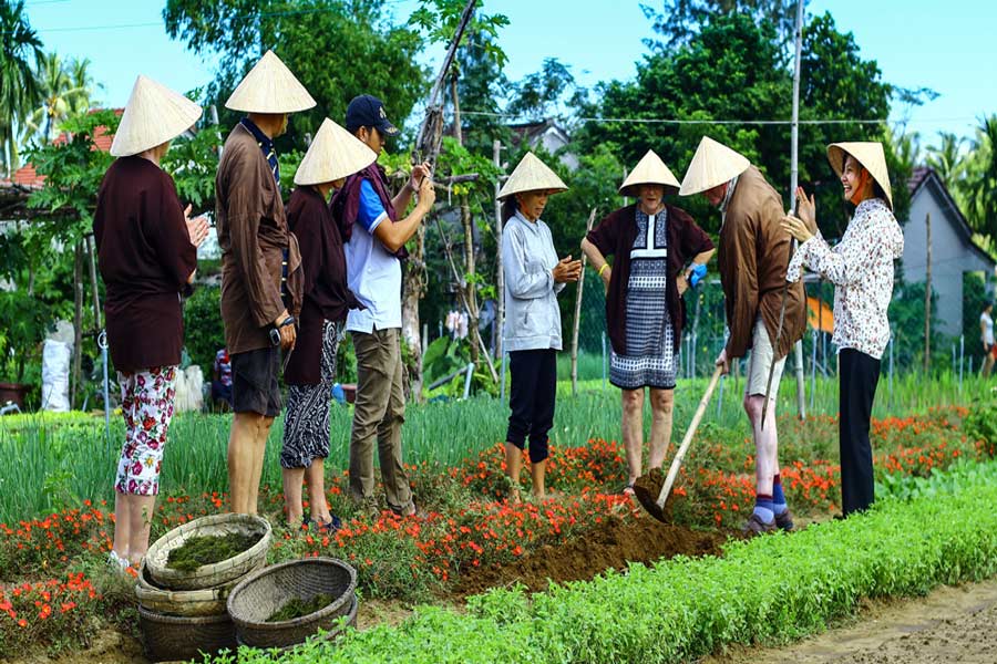 I turisti fanno l’esperienza di fare giardinaggio nel villaggio di erbe aromatiche di Tra Que.