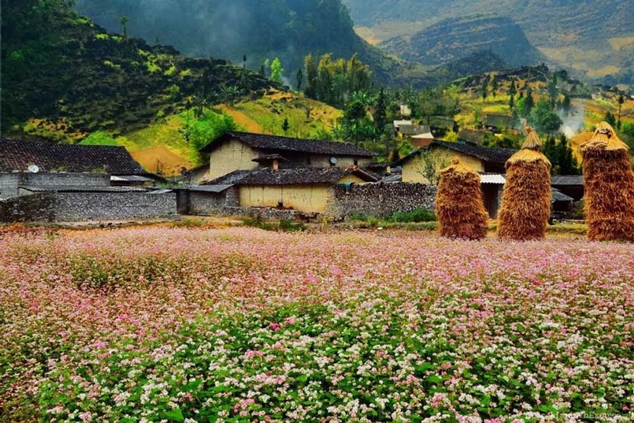 Lung Cu - Guida di viaggio - Attrazione di Vietnam