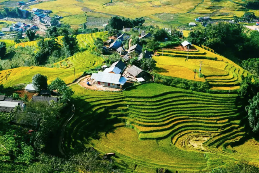 I migliori itinerari del tour in Vietnam 10 giorni in 2025
