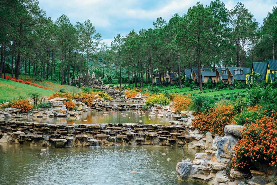 Pineta di Ban Ang, Moc Chau, Vietnam