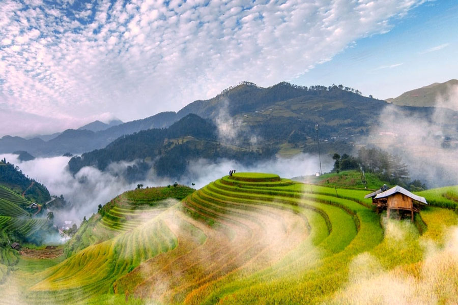 Scoprire la bellezza della campagna vietnamita