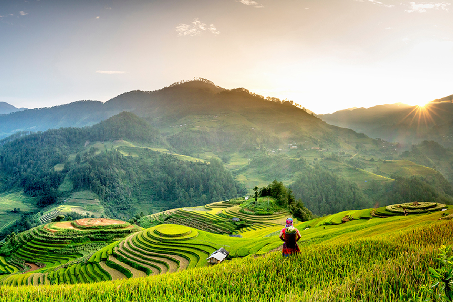 Le pìu belle risaie del Vietnam