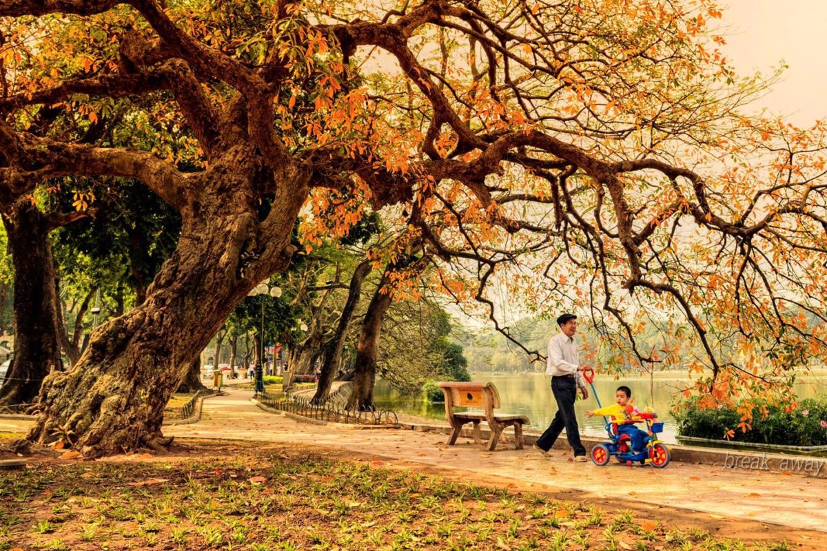 L'autunno ad Hanoi