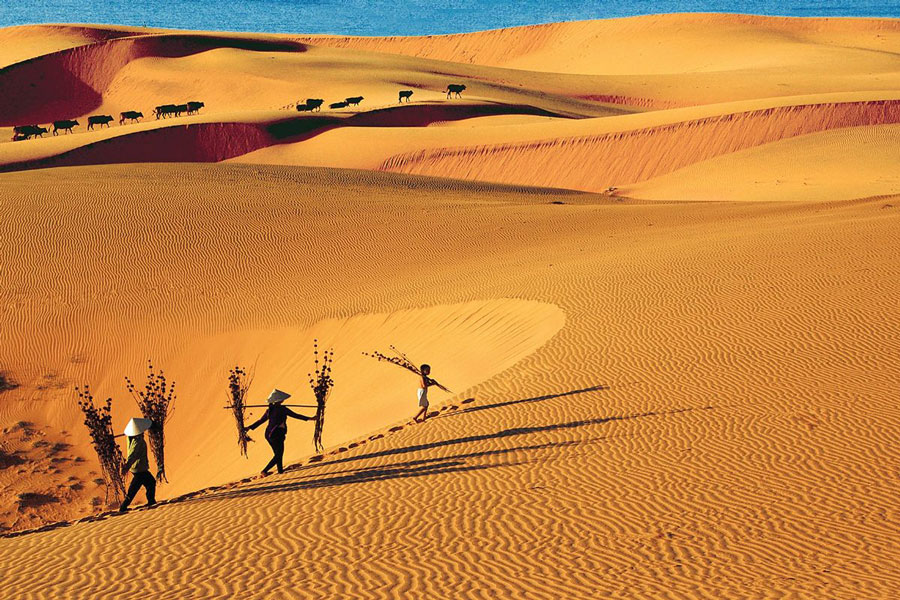 Scoprire le dune di sabbia in Vietnam