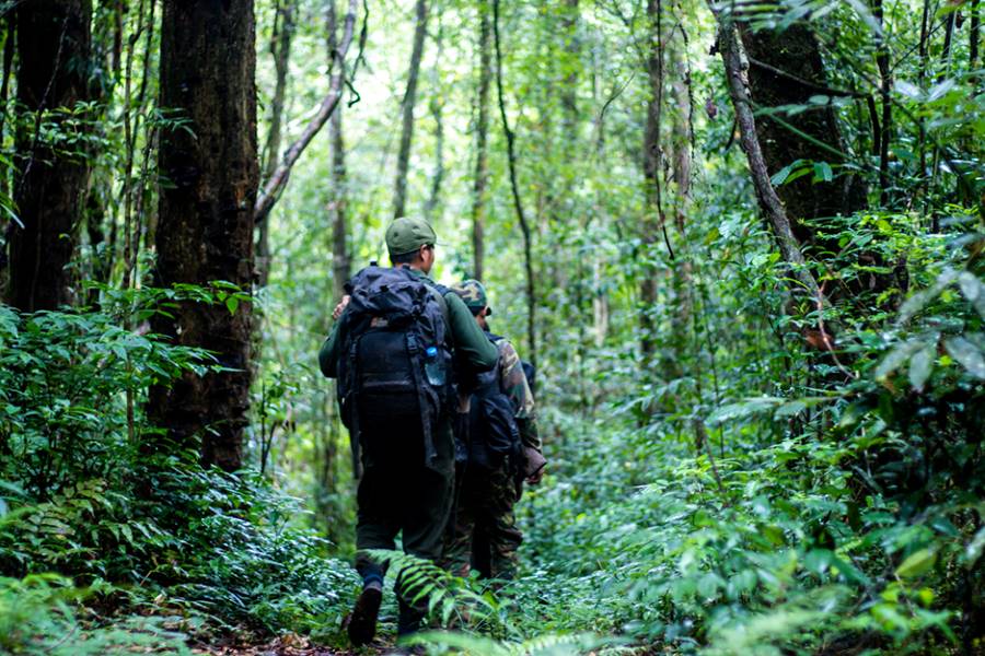 Escursione Nam Et-Phou Louey foresta Laos