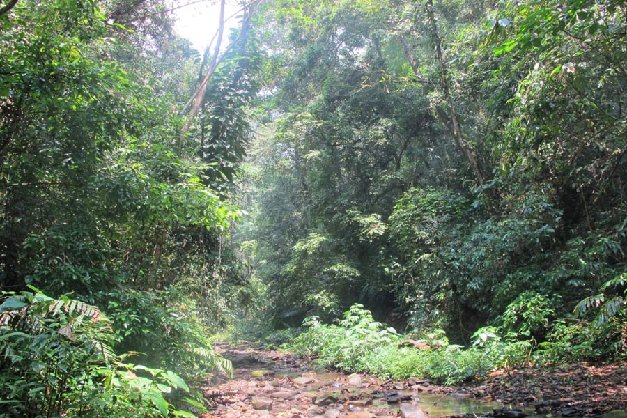 L'area di conservazione di Nam Ha