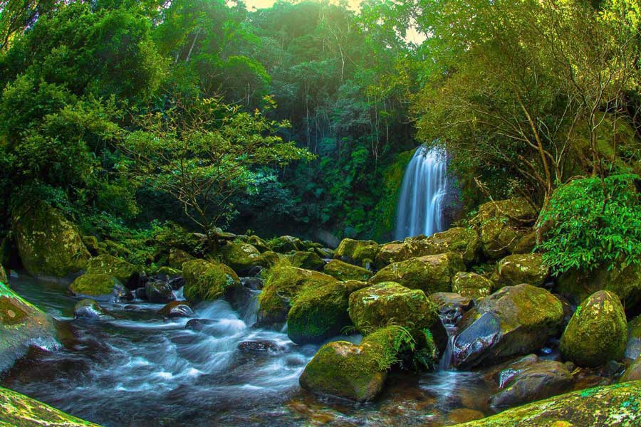 Ecosistema della zona della cascata di Nam Kat