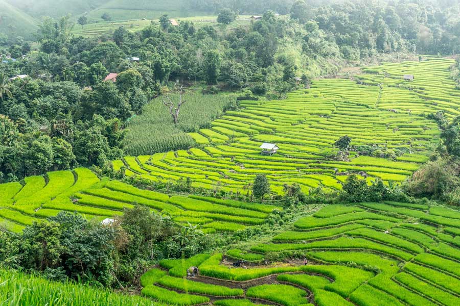 Scoprite il cuore della Thailandia settentrionale - Viaggio in Thailandia di 10 giorni