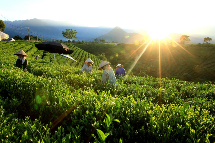 Panoramica di Thai Nguyen