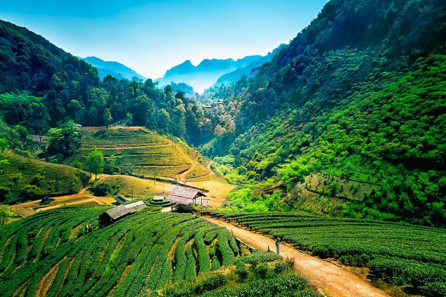 La bellezza naturale di Chiang Mai