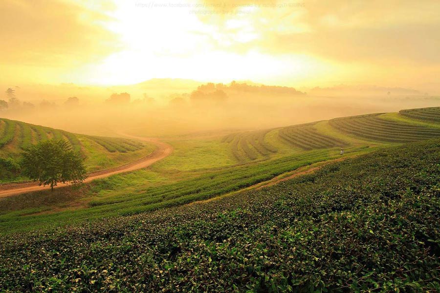 Il parco agricolo unico di Khon Kaen