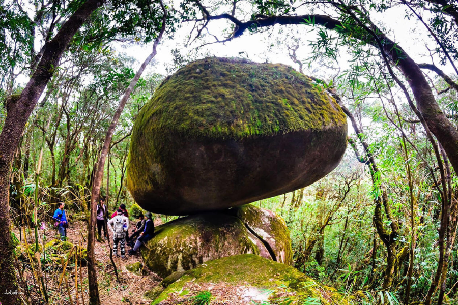 Parco Nazionale Chu Yang Sin - Attrazione in Dak Lak