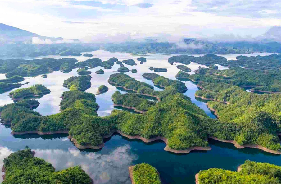 Parco nazionale di Ta Dung - Attrazione in Dak Nong