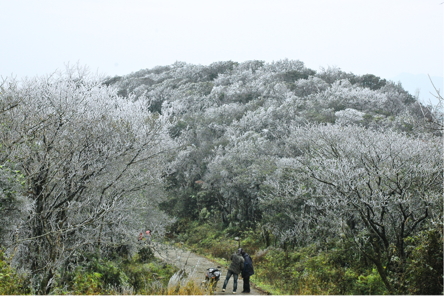 Parco Nazionale Phia Oac - Phia Den - Attrazione in Cao Bang