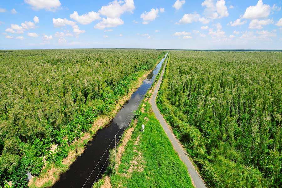 Il parco nazionale U Minh Ha del Vietnam