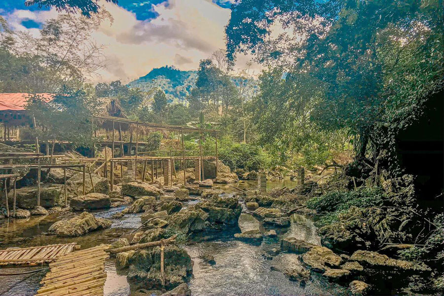 Visitare il parco nazionale di Xuan Son