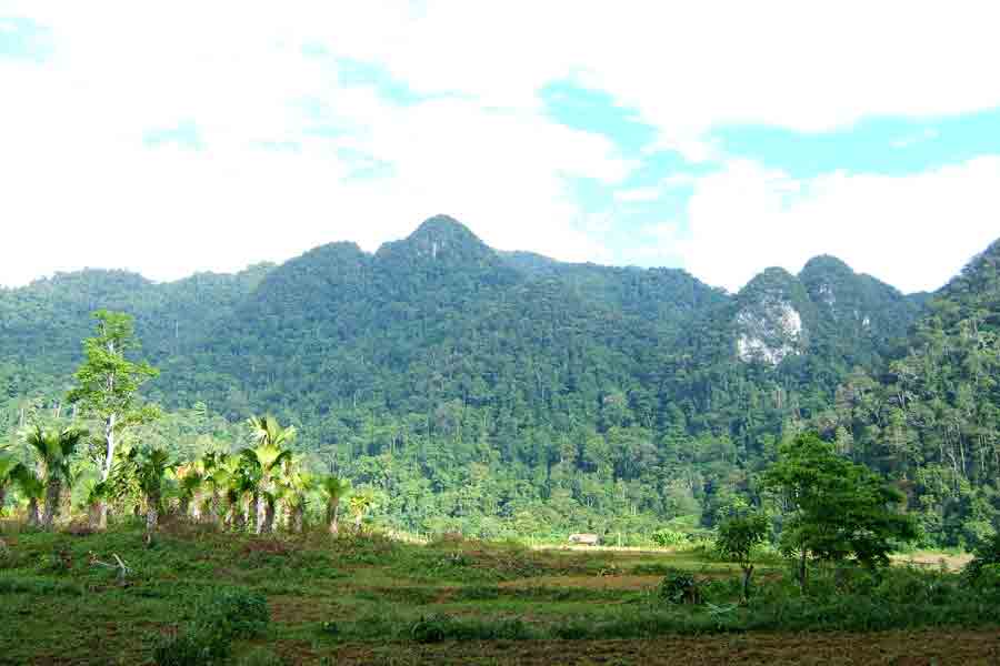 Il parco nazionale Xuan Son di Phu Tho