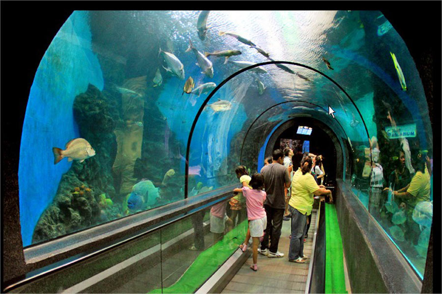 Come muoversi all'Acquario di Phuket