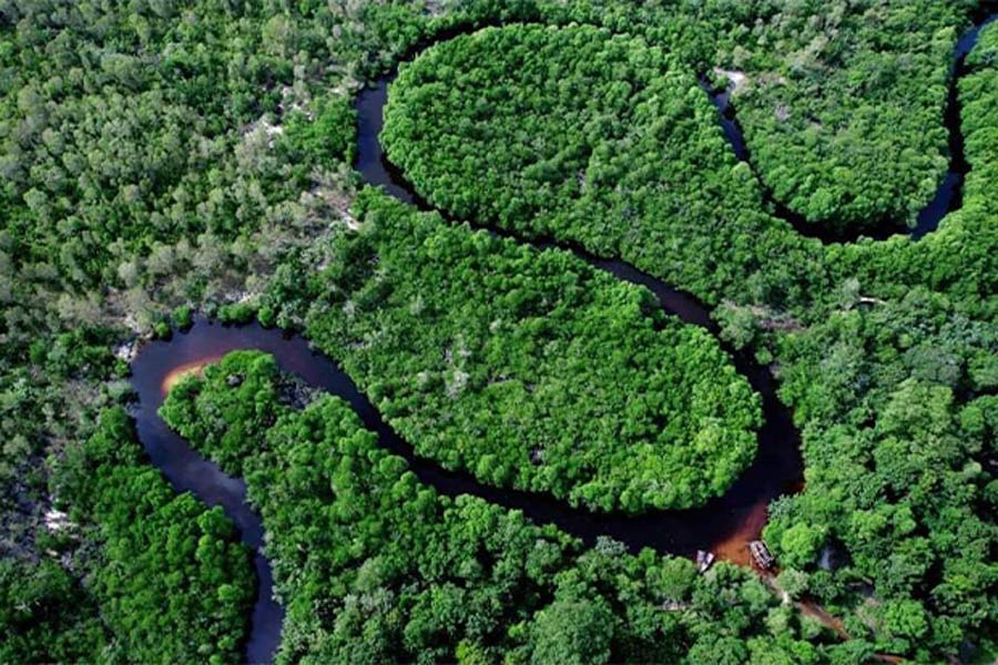 Il parco nazionale di Ream