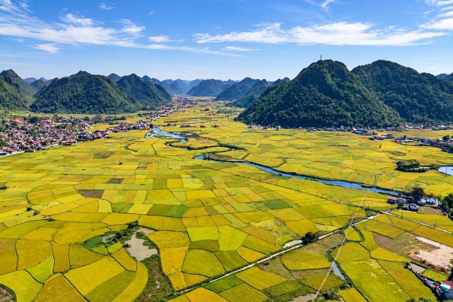 Il mosaico dorato e geometrico della valle di Bac Son