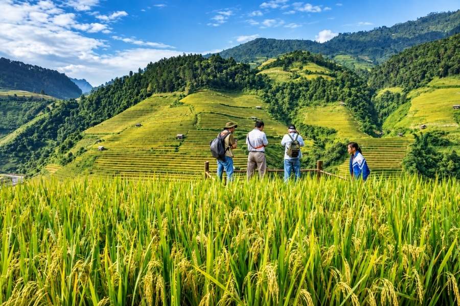 Trekking tra i sentieri dorati e le montagne del Nord