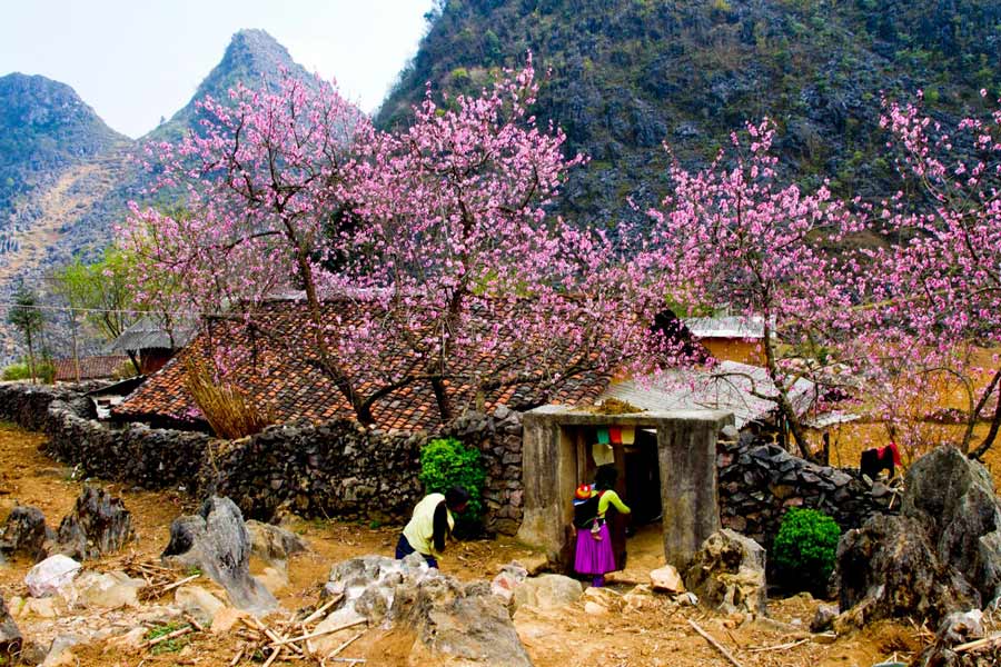 Clima del Sapa, Vietnam - Guida di viaggio in Vietnam