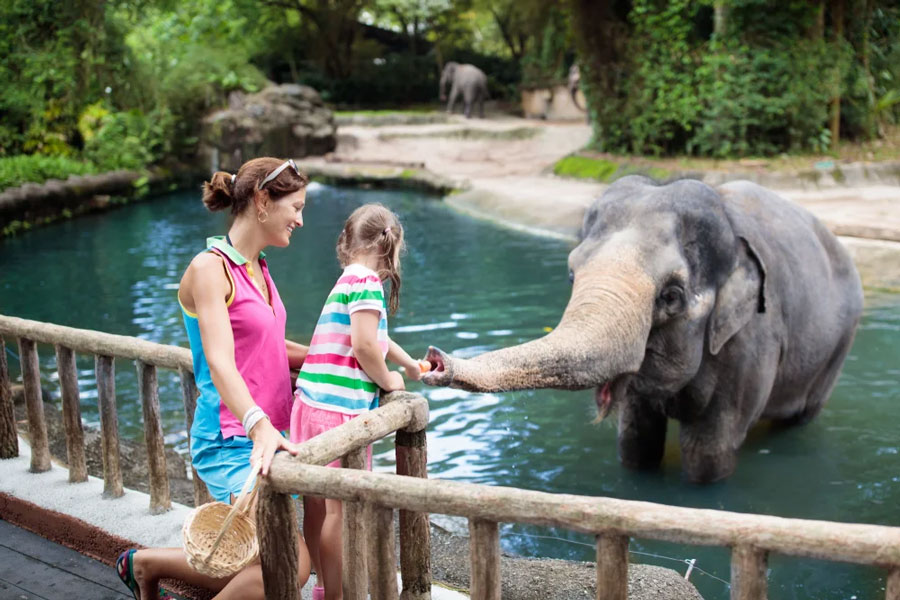 Gli zoo sono una destinazione ideale per la famiglia e i bambini?