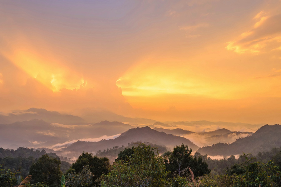 Complesso Forestale Kaeng Krachan