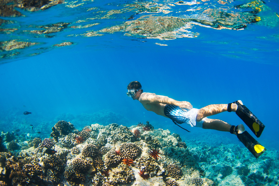 Snorkeling e immersioni alla spiaggia di Karon