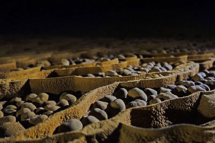 Esplorare la grotta di Son Doong
