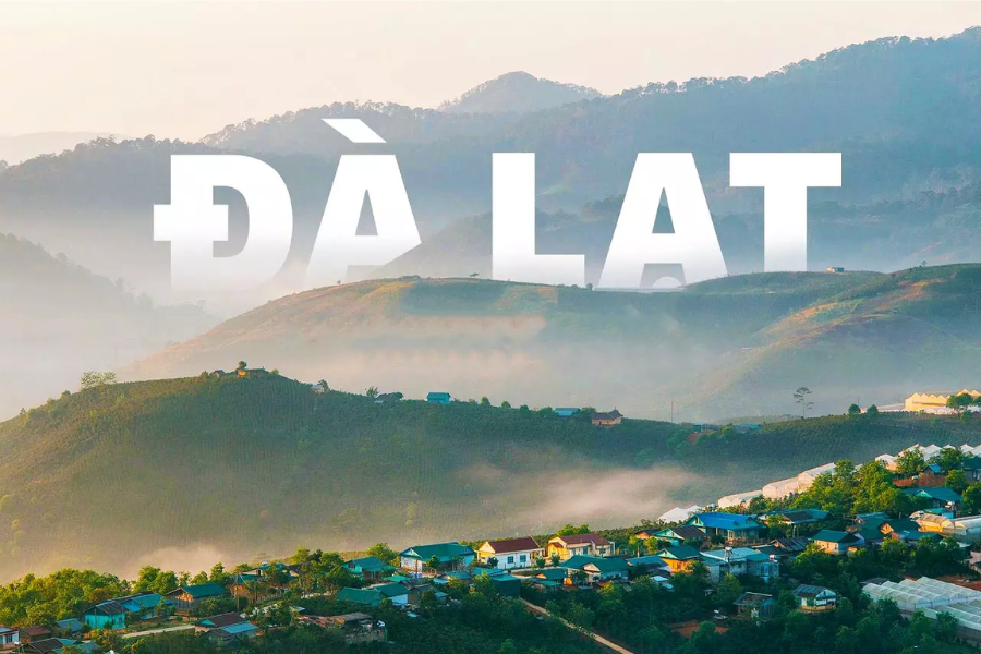 La Stagione dei Fiori Viola a Da Lat a Luglio