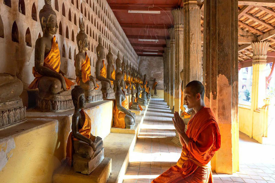 Le statue di Buddha 