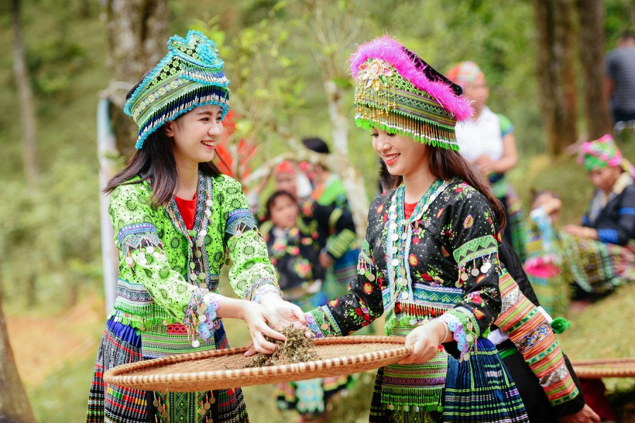 Festival del tè Shan Tuyet a Suoi Giang
