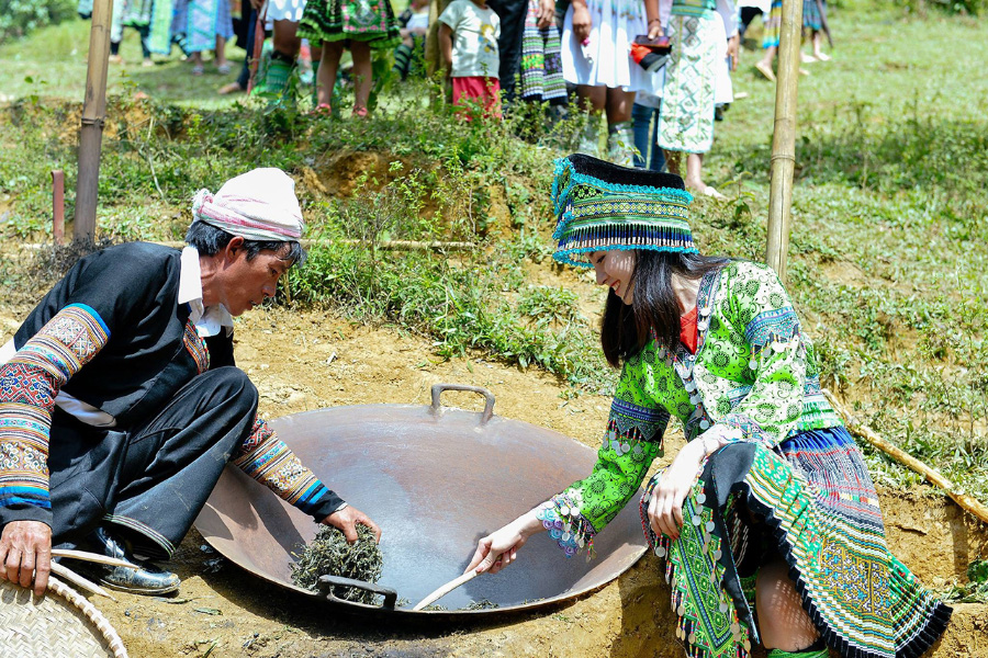 I turisti sperimentano la produzione del tè Shan Tuyet a Suoi Giang