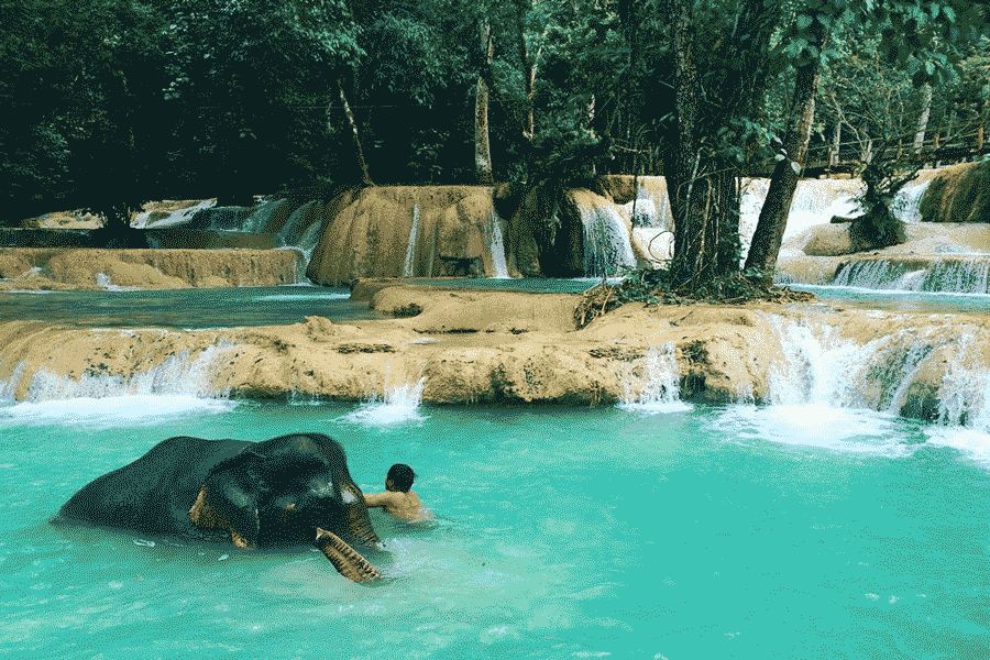 Esperienza di bagno con gli elefanti alla cascata di Tad Sae