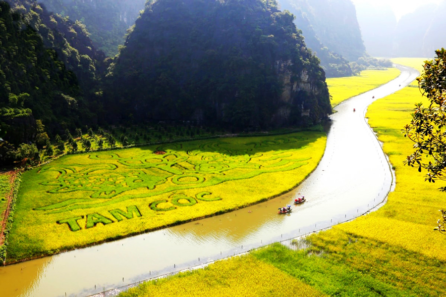 Le pìu belle risaie del Vietnam