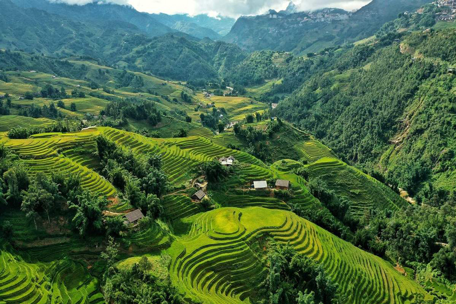 Le pìu belle risaie del Vietnam