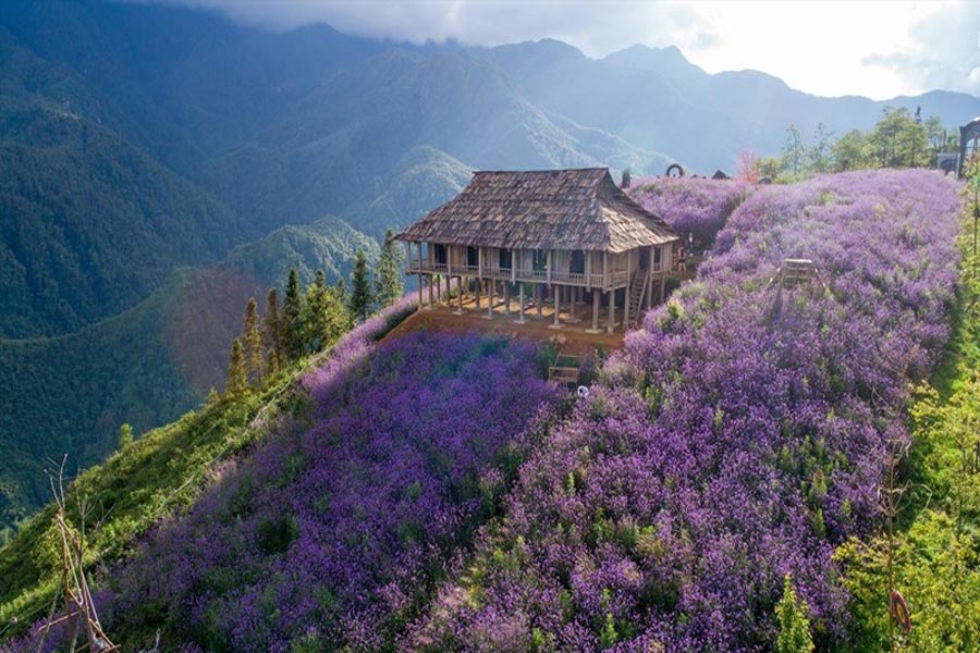 san valentino in vietnam