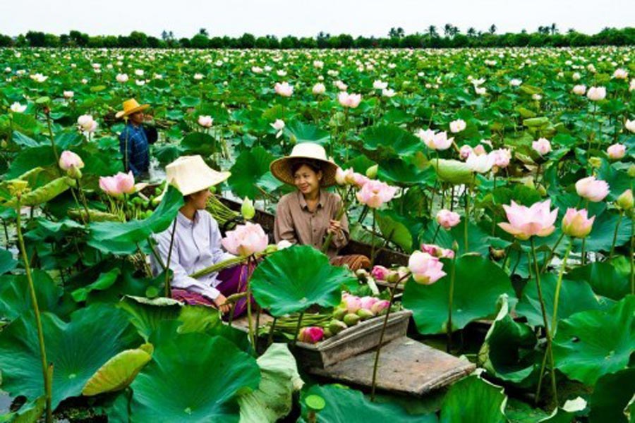 Nakhon Pathom