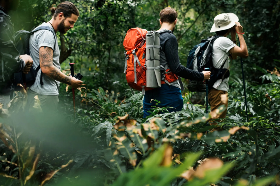 Attività famosa nel parco