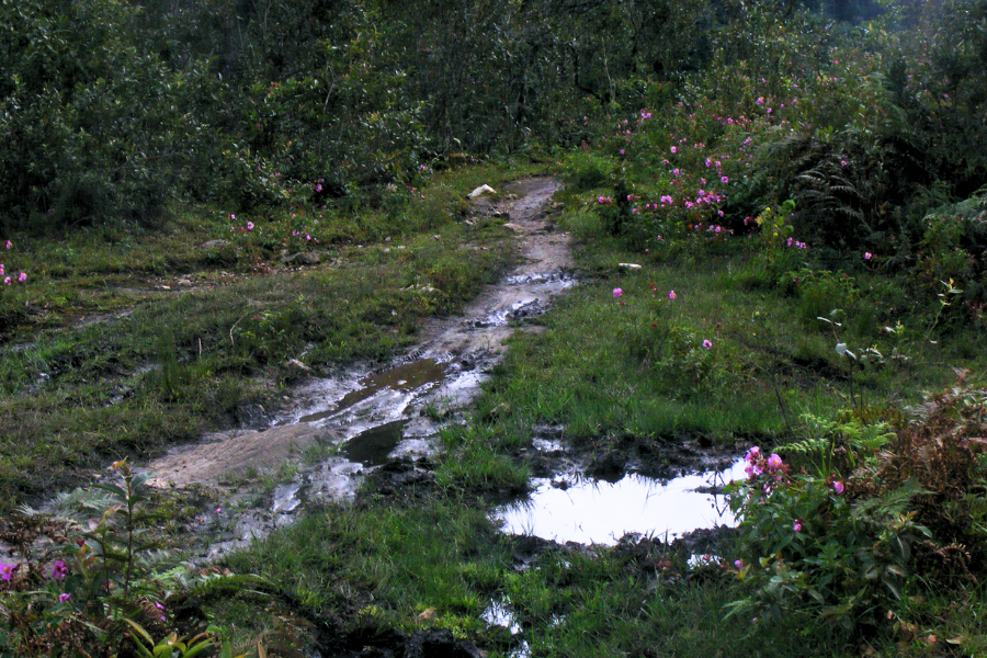 Trekking a Lao Than: il tetto tra le nuvole
