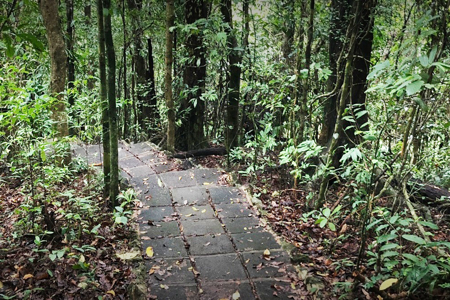Fare il trekking nel parco