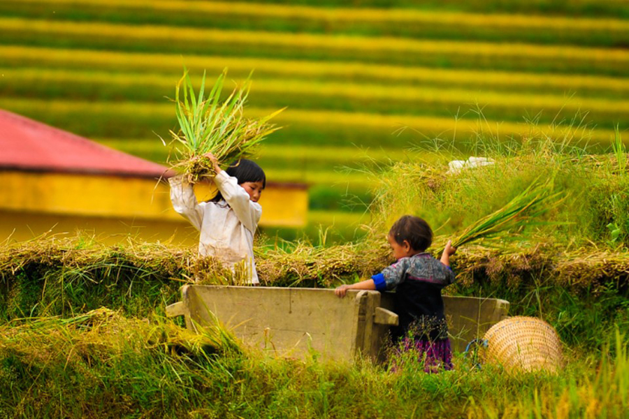 Turismo montano in Vietnam