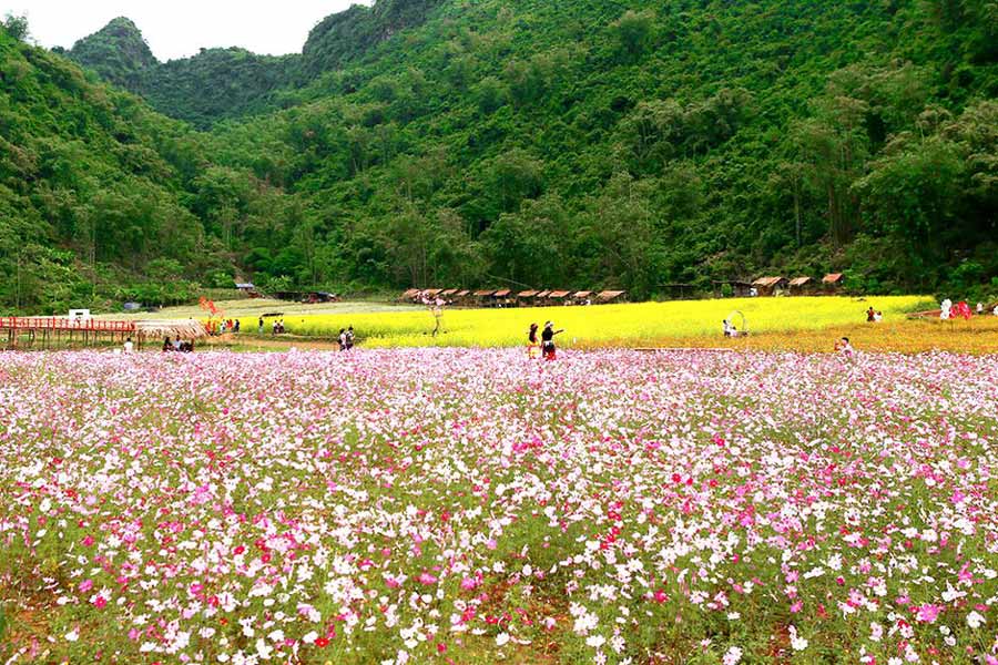 La valle dei fiori di Bac Ha