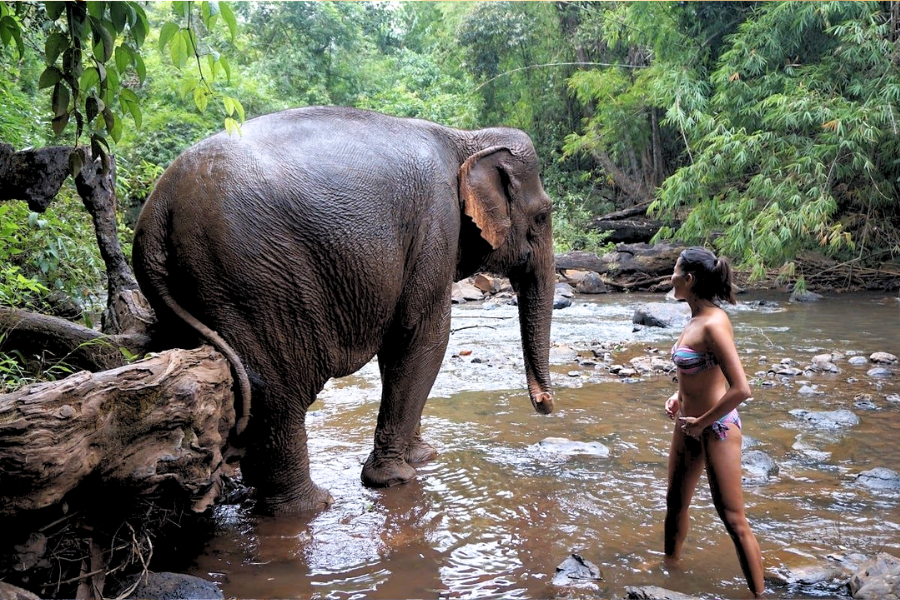 Viaggio in Cambogia a Maggio in 2025