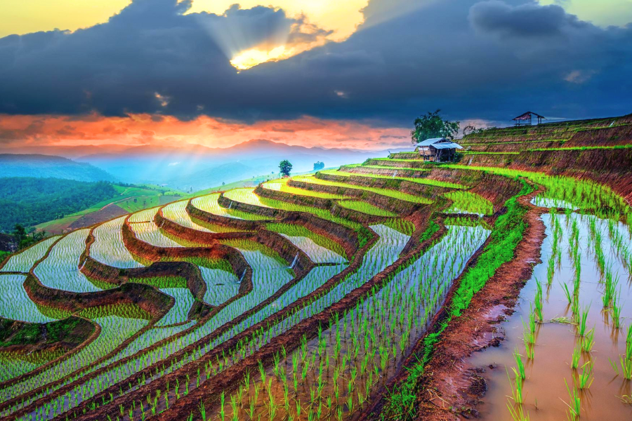 Viaggio in Thailandia del Nord: Itinerario di 10 Giorni 